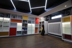 Home-cinema-leds-plafond-tendu