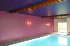 Piscine-poutres-plafond-tendu