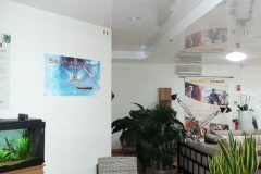 P1000706