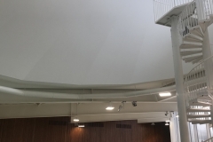 92CE1267-094C-4003-BAED-B4F8F210E899photoR