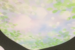 Hospitalier-plafond-eclaire