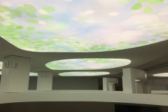 Hospitalier-plafond-imprime